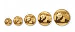 2015年熊猫纪念金币一组5枚 完未流通