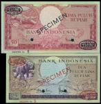 Indonesia, 25 and 50rupiah, Specimen, no date (1957), featuring a rhinoceros and crocodile respectiv