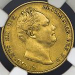 GREAT BRITAIN William IV ウィリアム4世(1830~37) Sovereign 1837 NGC-XF40 VF