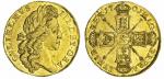 William III (1694-1702), Fine-Work Two-Guineas, 1701, laureate head right, no stop after GRA, rev. c
