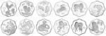 1993-2004年梅花形生肖特种银币大全套共十二枚  完未流通