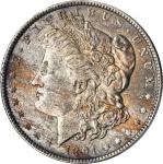 1891 Morgan Silver Dollar. MS-64 (PCGS).