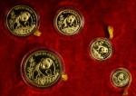 1990年熊猫纪念金币1/2盎司等一组5枚 完未流通