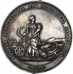 1882 St. Louis Agricultural and Mechanical Association. Silver. 69.1 mm. 125.0 grams. Julian AM-74, 