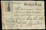 Berwick Bank (Surtees, Burdon, Brandling, Hambleton), 1 guinea, 1 October 1802, serial number B 1100