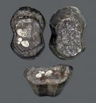 清代山东“和顺炉”五十两银锭一枚，GBCA AU50，1610066062，重1854.5g