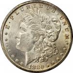 1880-CC Morgan Silver Dollar. MS-64 (PCGS).