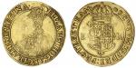 Elizabeth I (1558-1603), Sixth Issue, Crown Gold, Pound, 1592-1595, Tower, (m.m.) ELIZABETH : D . G 