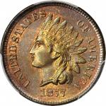 1877 Indian Cent. MS-66 RB (PCGS).