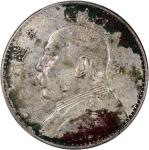 袁世凯像民国八年壹圆普通 PCGS XF 98 China, Republic, [PCGS XF Detail] silver dollar, Year 8 (1919),  Fatman Doll