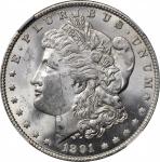 1891 Morgan Silver Dollar. VAM-2. Top 100 Variety. Doubled Die Obverse, Doubled Ear. MS-62 (NGC).