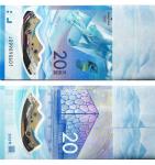 2022年第24届冬奥会20元纪念钞一刀 未评级