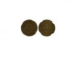 1901年江苏省造光绪元宝当製钱二文铜质样币，NGC AU55