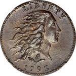 1793 Flowing Hair Cent. Wreath Reverse. S-5. Rarity-4. Vine and Bars Edge. MS-61 BN (NGC).
