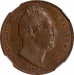 GREAT BRITAIN. Farthing, 1837. London Mint. William IV. NGC MS-64 Brown.