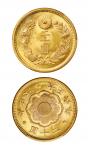 1917年大日本大正六年二十圆金币