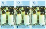 2011年可爱企鹅商业纪念钞南极洲1元塑料钞三联钞一组