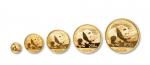 2016年熊猫纪念金币一组5枚 完未流通
