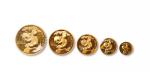 1996年熊猫金币1/20盎司至一盎司金币一组五枚，带原封，完全未使用品 RMB: 50,000-100,000      