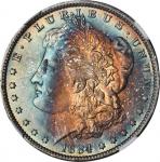 1884-O Morgan Silver Dollar. MS-67 (NGC).