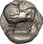 Greek Coins, Southern Lucania, Sybaris. AR Stater, c. 550-510 BC. HN Italy 1729. Basel 167. SNG ANS 