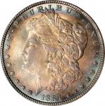 1884 Morgan Silver Dollar. MS-65 (PCGS). CAC.