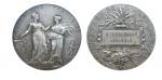 1880年法国农业委员会全纪念银章