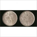 辛丑（1901年）江南省造光绪元宝库平一钱四分四厘银币一组两枚