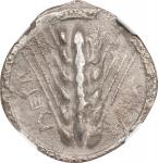 ITALY. Lucania. Metapontum. AR Stater, ca. 510-470 B.C. NGC VF.