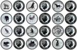 1999-2010澳洲十二生肖一安士银币12枚，UNC, 放在原装盒内