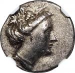 公元前 3 世纪古希腊西斯蒂亚水泽仙女银币一枚，NGC XF 评级编号：4976686-062