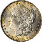 1881 Morgan Silver Dollar. MS-64 (NGC).