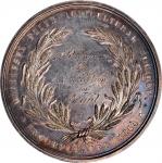 1872 Middlesex South Agricultural Society Award Medal. By William Barber. Julian AM-48, Harkness Ma-