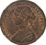 英国(GB), 1860, 銅(Cu), 1/2ﾍﾟﾆｰ Penny, NGC MS63RB , 極美/未, AU, ヴィクトリア女王像／ブリタニア座像 ビーデッドボーダー 1/2ペニー銅貨 1860