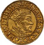 POLAND. Danzig. Ducat, 1550. Danzig Mint. Sigismund II Augustus. NGC MS-62.