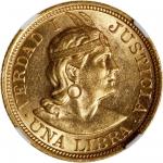 1917年秘鲁里拉金币，含金重量0.2355盎司，NGC MS62