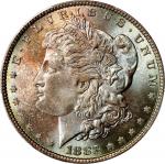 1883 Morgan Silver Dollar. MS-67 (PCGS).