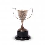 民国时期北京大学银质奖杯一件，上刻有北大校徽以及“进德会赠”，附底座，高:13.5cm RMB: 3,000-5,000      