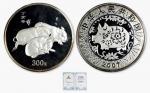 2007年丁亥(猪)年生肖纪念银币1公斤 完未流通