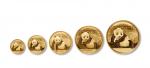 2015年熊猫纪念金币一组5枚 完未流通