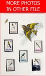 Thematic Birds: Album of 17 sockets housed unmounted mint on "BIRD" topic postage stamps issued by R