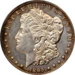 1895 Morgan Silver Dollar. Proof-61 (PCGS).