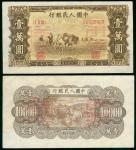1948-1949年一版人民币一万圆(双马耕地)样钞, AU, 四边皆有红印, 乃当时分行存档用
