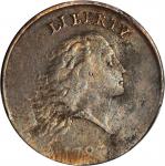 1793 Flowing Hair Cent. Chain Reverse. S-4. Rarity-3+. AMERICA, With Periods. VF Details--Damage (PC