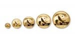 2016年熊猫纪念金币一组5枚 完未流通
