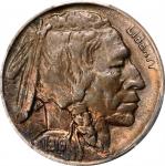 1919-D Buffalo Nickel. AU Details--Edge Corrosion (PCGS).