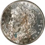 1884-CC GSA Morgan Silver Dollar. MS-64 (NGC).