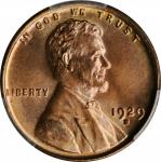 1929-D Lincoln Cent. MS-66+ RD (PCGS). CAC.