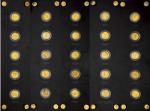 2007年1/25盎司中国熊猫金币发行25周年纪念币一套二十五枚，原盒装。均为面值15元，直径12mm，成色99.9%，发行量18000枚。