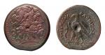 14370   古埃及托勒密王朝大铜币一枚